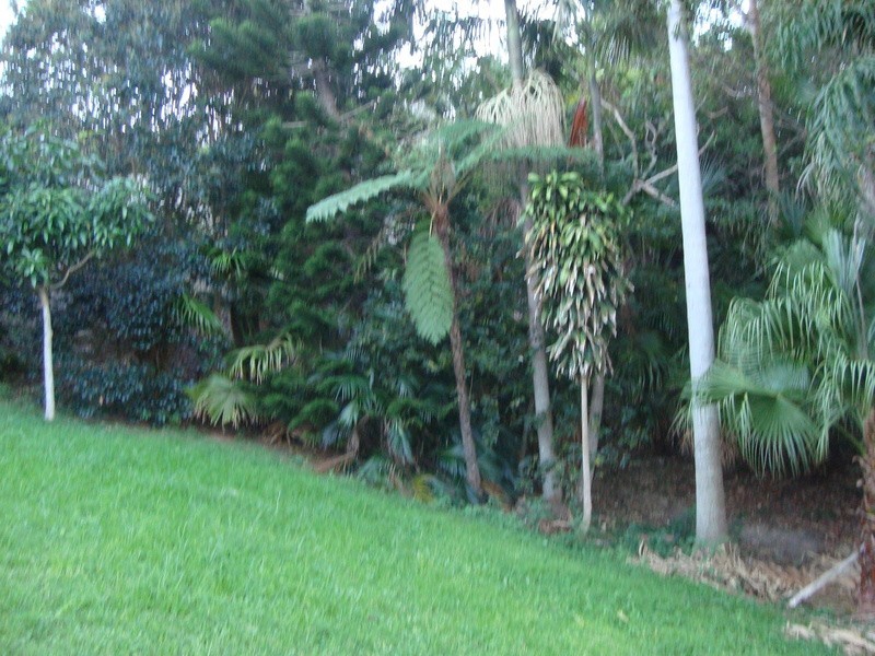 Tamborine Mountain QLD 4272