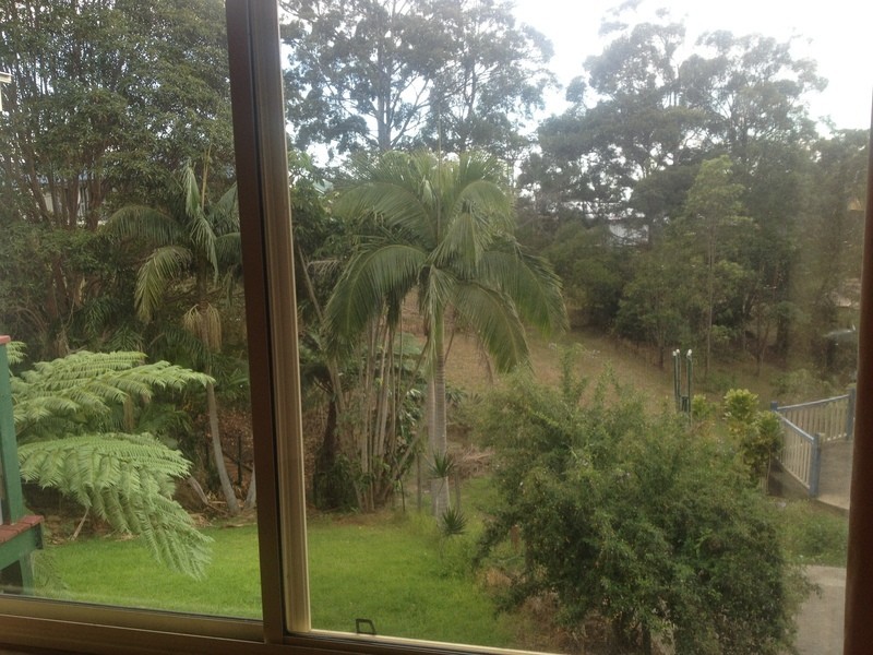 Tamborine Mountain QLD 4272