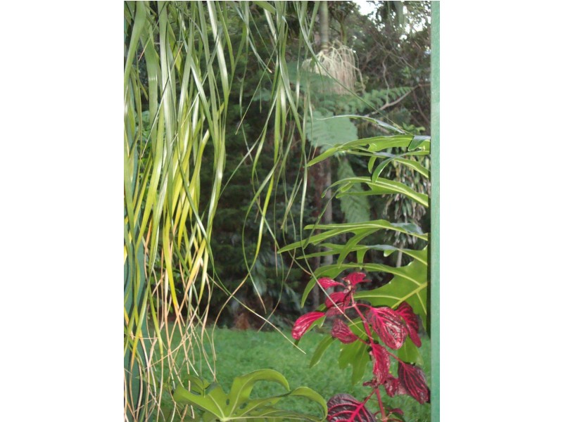 Tamborine Mountain QLD 4272