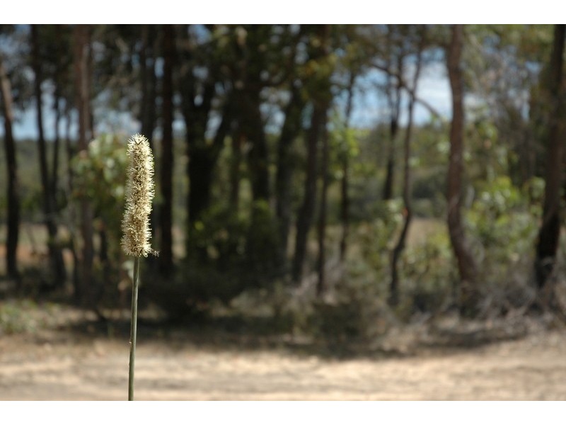 4003 Brazier Street, Donnybrook WA 6239