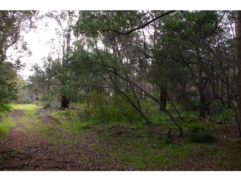 66 Narbethong Road, Bedfordale WA 6112