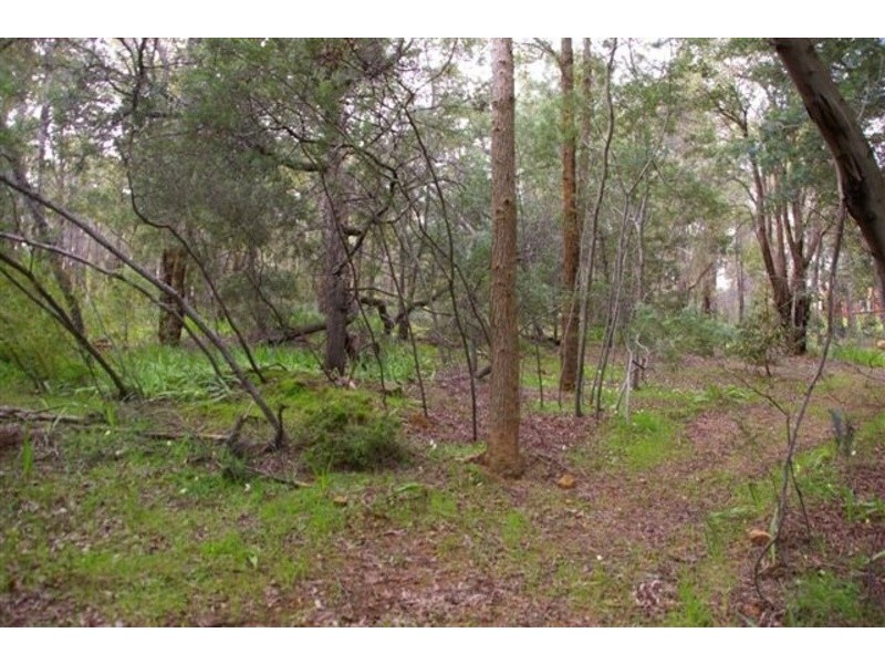 66 Narbethong Road, Bedfordale WA 6112