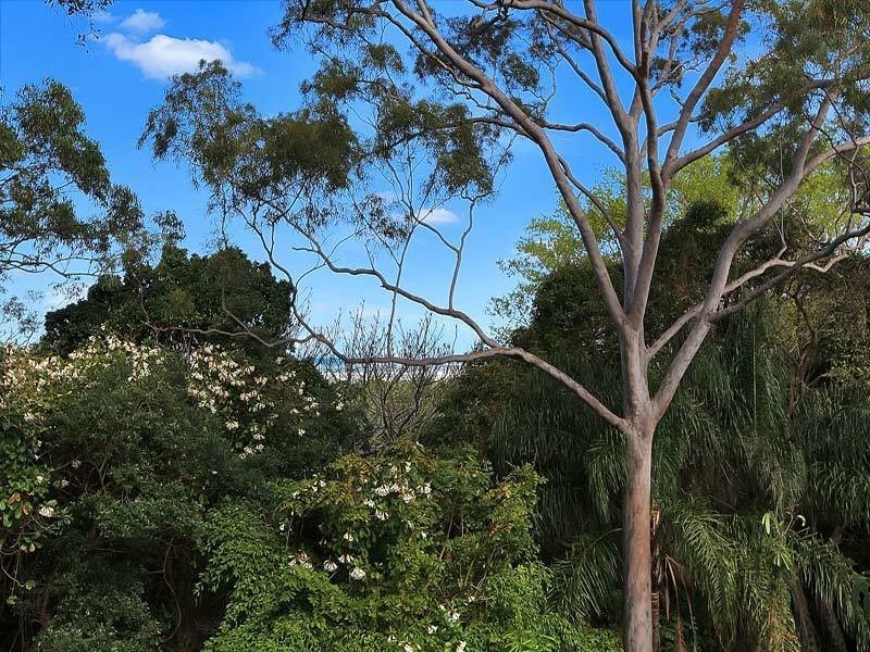 Buderim QLD 4556
