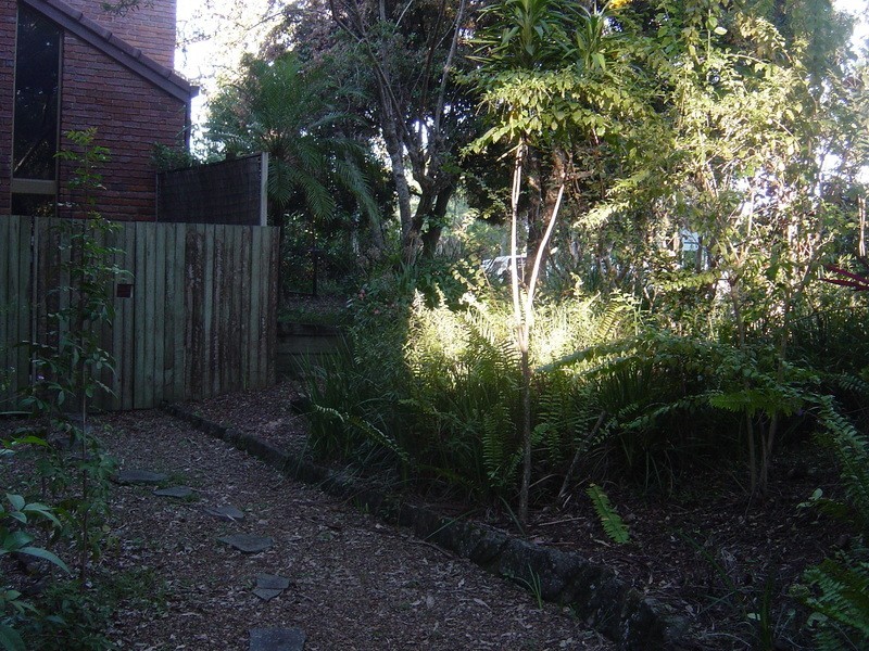 Buderim QLD 4556