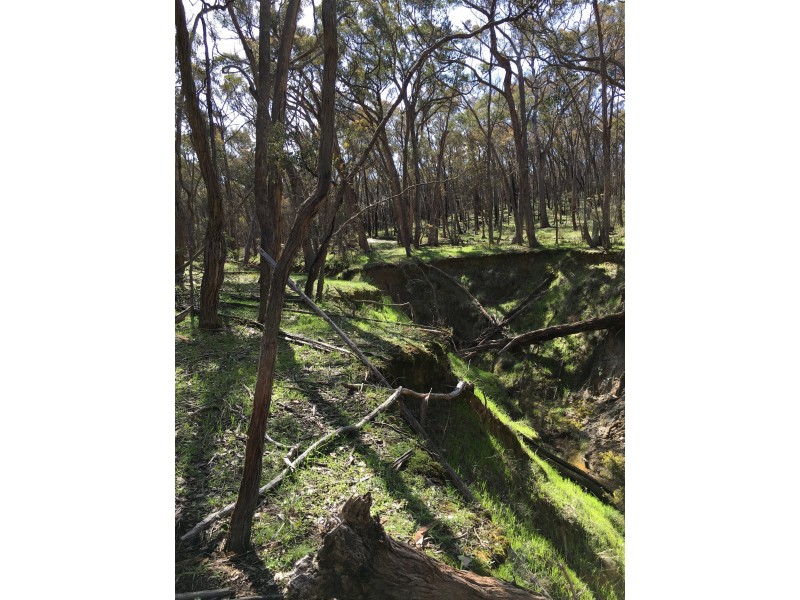 190 Fryerstown Rd, Taradale VIC 3447