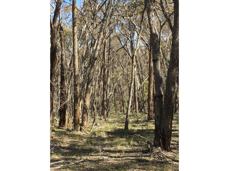 190 Fryerstown Rd, Taradale VIC 3447