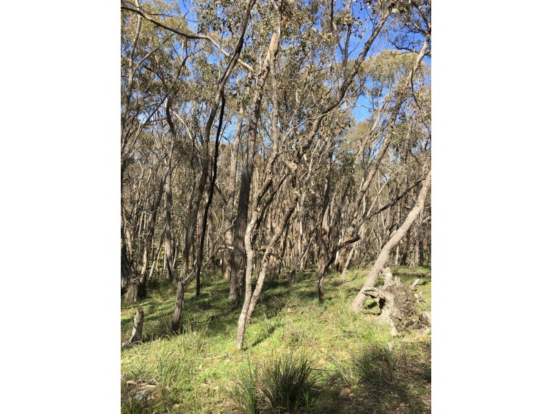 190 Fryerstown Rd, Taradale VIC 3447