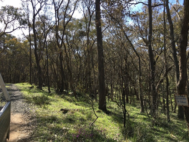 190 Fryerstown Rd, Taradale VIC 3447