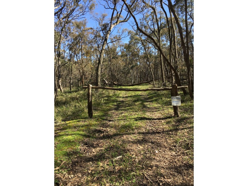 190 Fryerstown Rd, Taradale VIC 3447