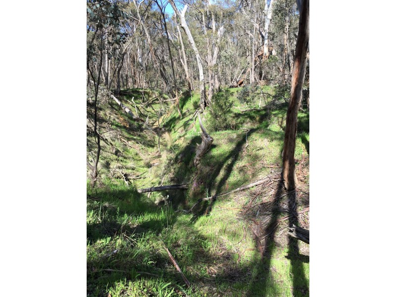 190 Fryerstown Rd, Taradale VIC 3447