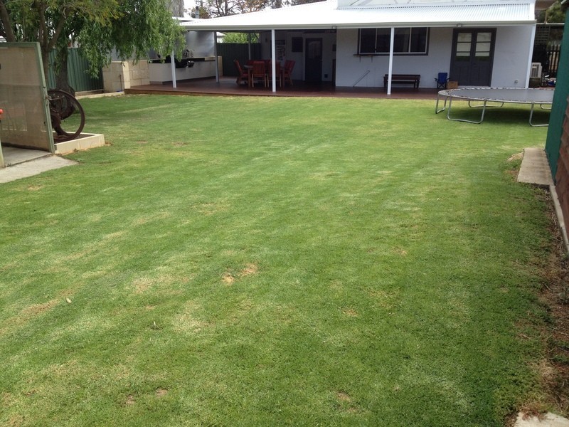 Narrogin WA 6312