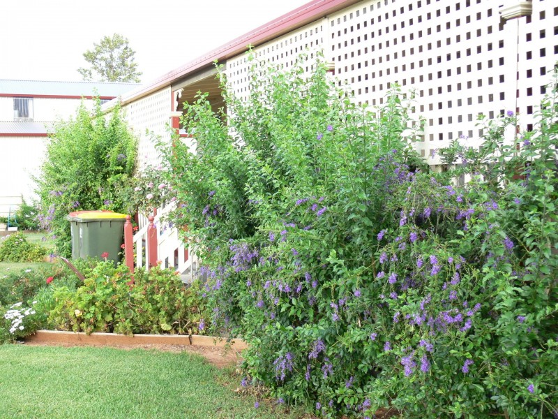 15 Willbe Street, Eugowra NSW 2806