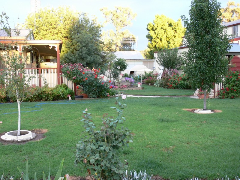 15 Willbe Street, Eugowra NSW 2806