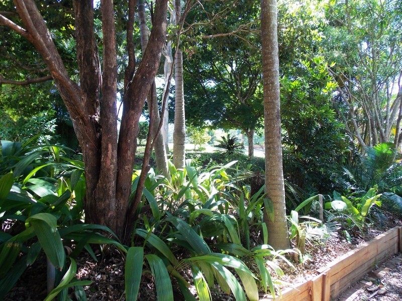 221 Panorama Drive, Rosemount QLD 4560