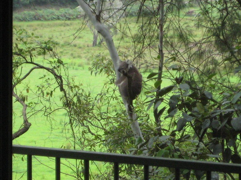 1928 Putty Road, Colo NSW 2756