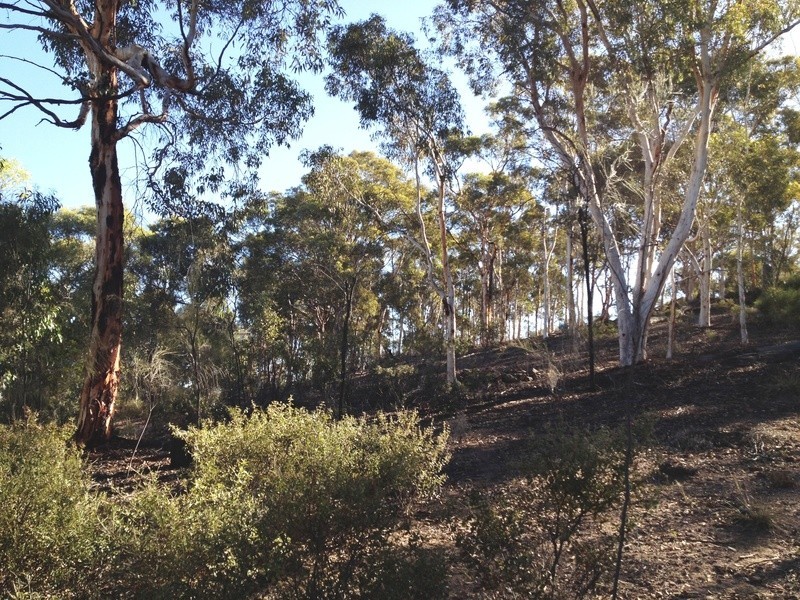 289 Railway Rd, Clackline WA 6564