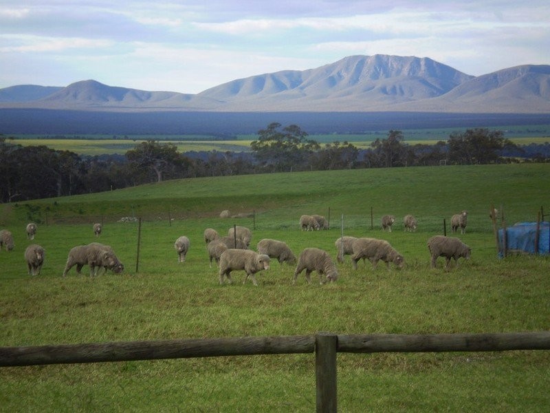 110 Ferry Rd, Mount Barker WA 6324