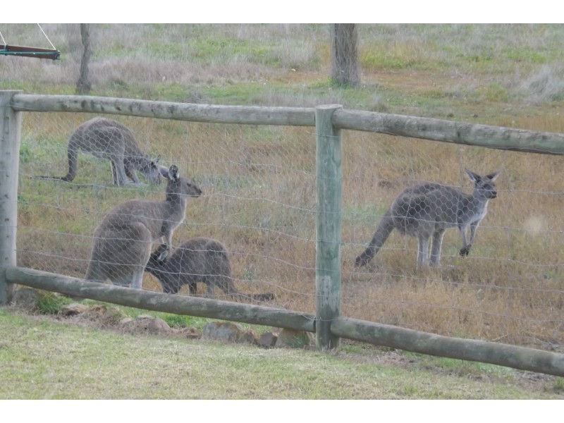 110 Ferry Rd, Mount Barker WA 6324