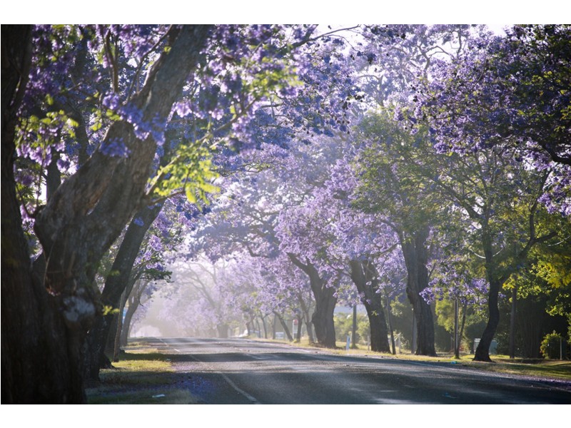 8/172 Ski Lodge Road, Seelands NSW 2460