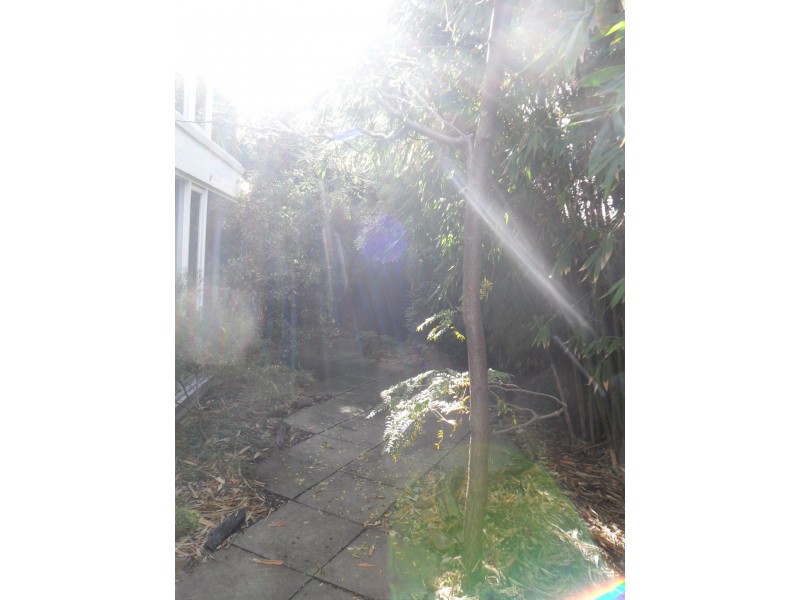 3 Small St, Hampton VIC 3188