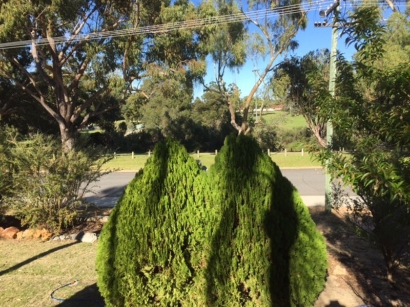 43 ROCHESTER CIRCLE, Balga WA 6061