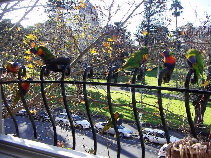 216/51 Rathdowne St, Carlton VIC 3053