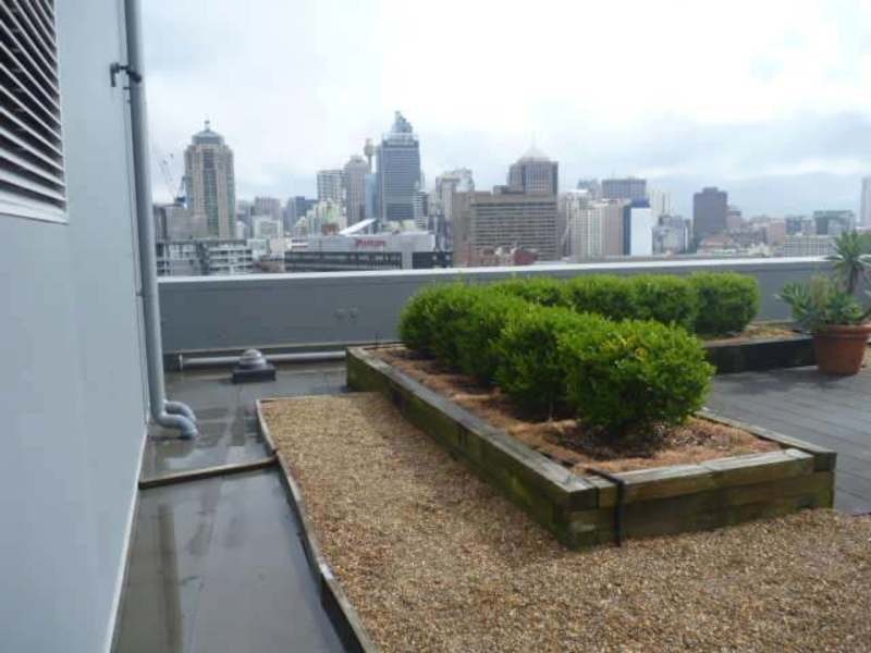 607/71-75 Regent St, Chippendale NSW 2008