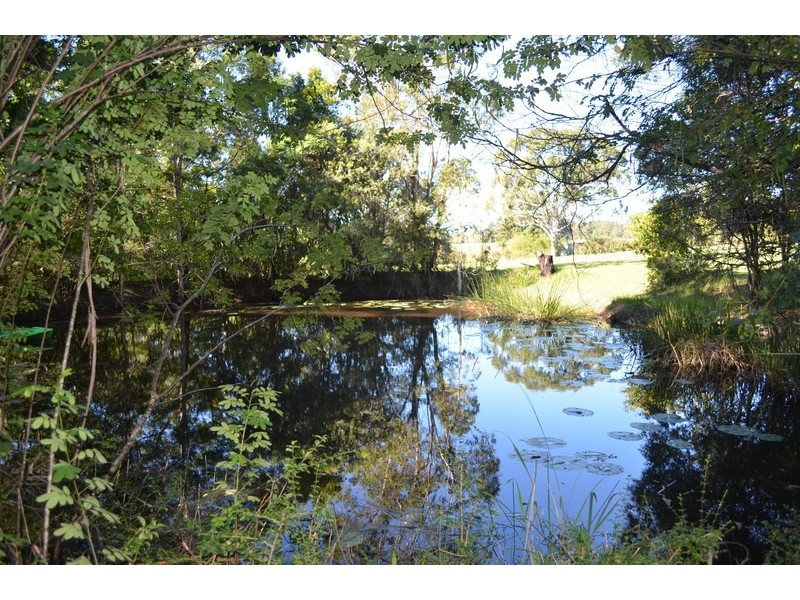 1572 Bucca Road, Nana Glen NSW 2450