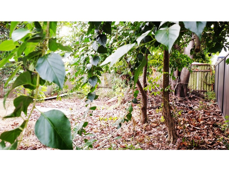 22 Blackwood Rd, Salisbury QLD 4107