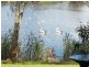 26  RANGAL RD, Ocean Shores NSW 2483