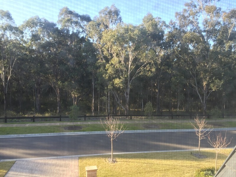 44  Hawthorne Circuit, Harrington Park NSW 2567