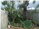 Marcoola QLD 4564