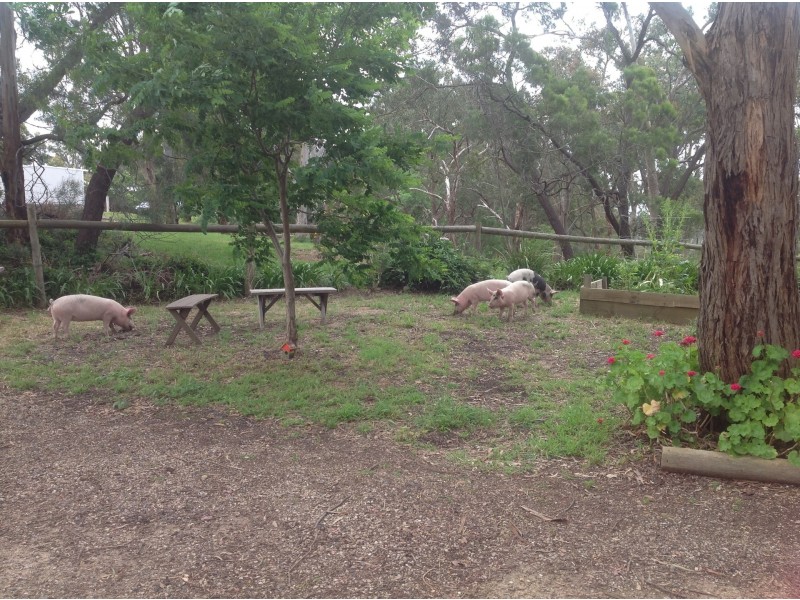 48 Beauty Gully Road, Warrandyte VIC 3113