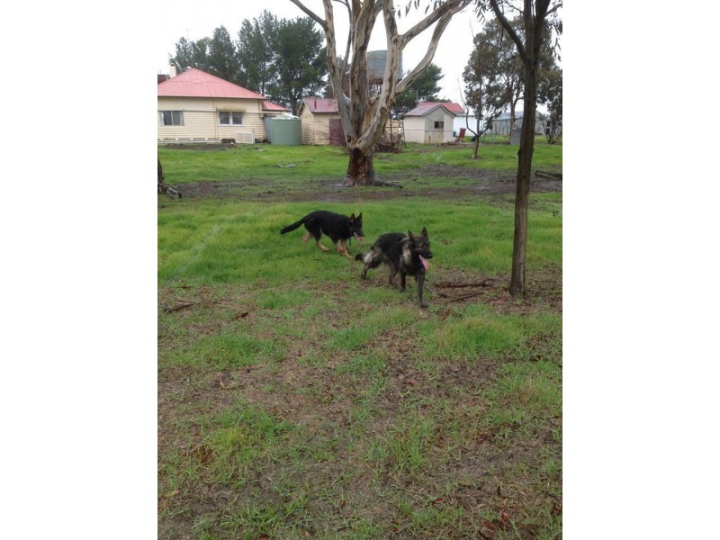 1919 Minyip Rich Avon Road, Rich Avon West VIC 3480