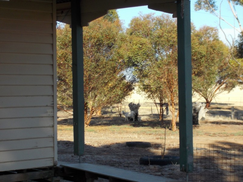 1919 Minyip Rich Avon Road, Rich Avon West VIC 3480