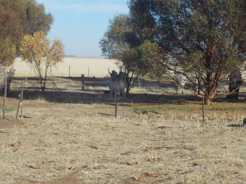 1919 Minyip Rich Avon Road, Rich Avon West VIC 3480