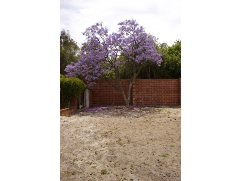 38A Wyatt Road, Bayswater WA 6053