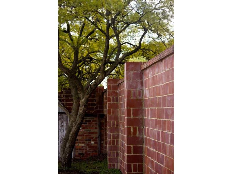 38A Wyatt Road, Bayswater WA 6053