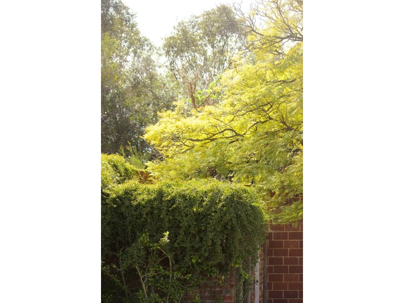 38A Wyatt Road, Bayswater WA 6053