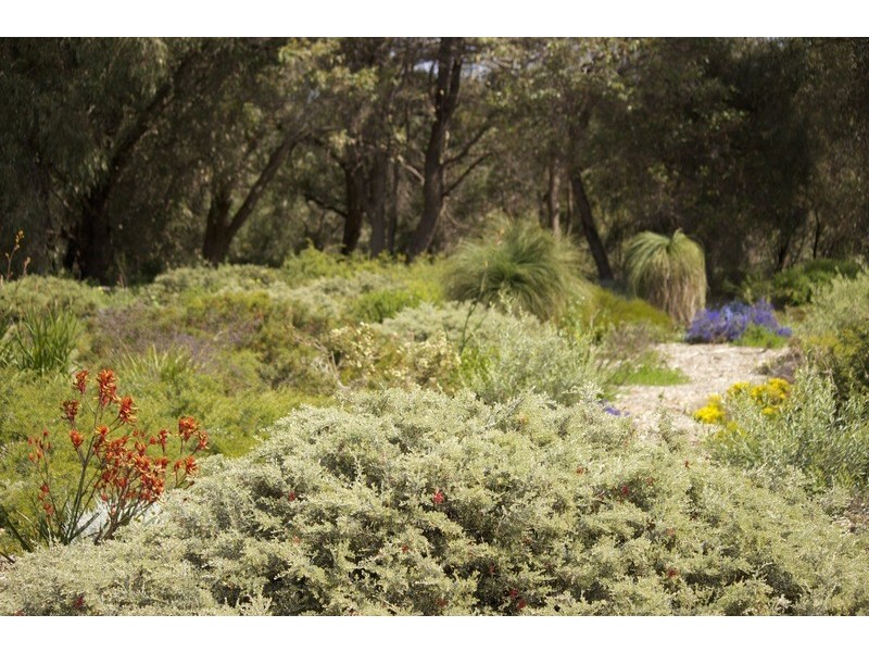 38A Wyatt Road, Bayswater WA 6053