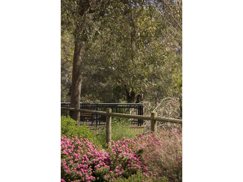 38A Wyatt Road, Bayswater WA 6053