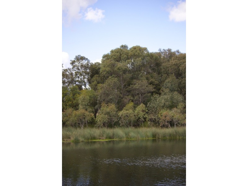 38A Wyatt Road, Bayswater WA 6053