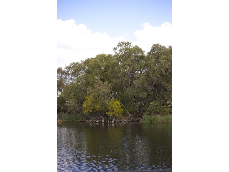 38A Wyatt Road, Bayswater WA 6053