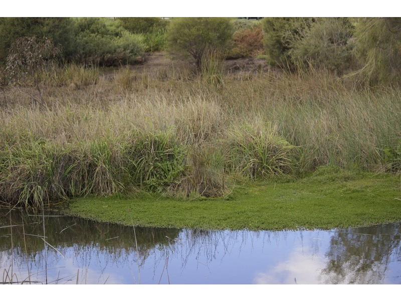 38A Wyatt Road, Bayswater WA 6053