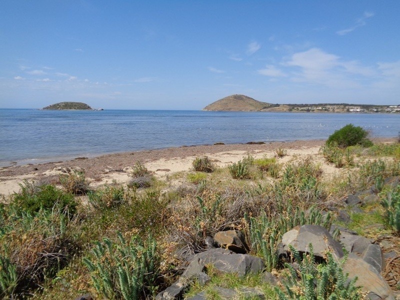 20 Ridgeway Street, Encounter Bay SA 5211