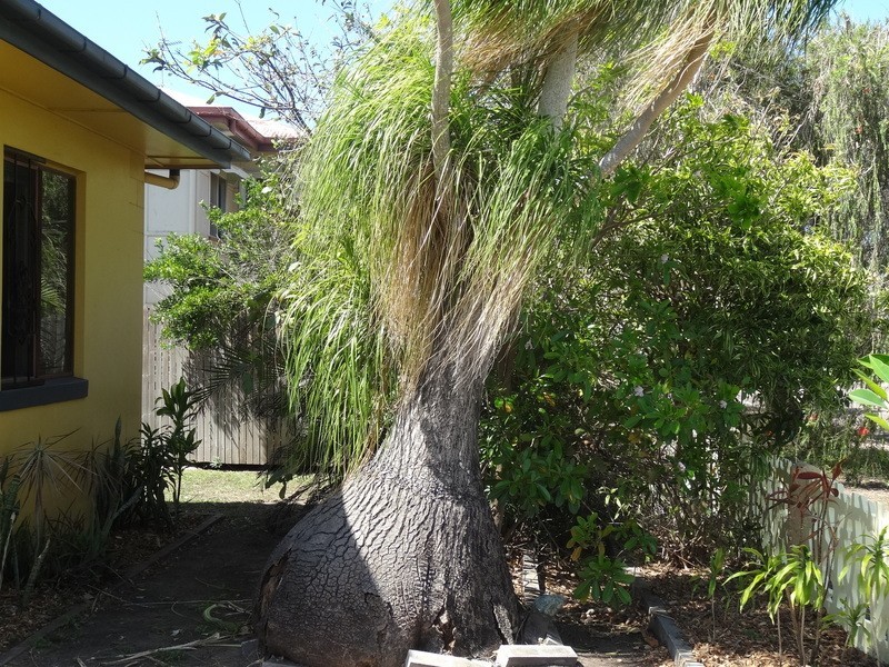 13 Margaret Street, Ayr QLD 4807