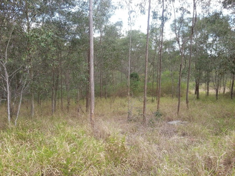 16 Fox Street, Redbank QLD 4301