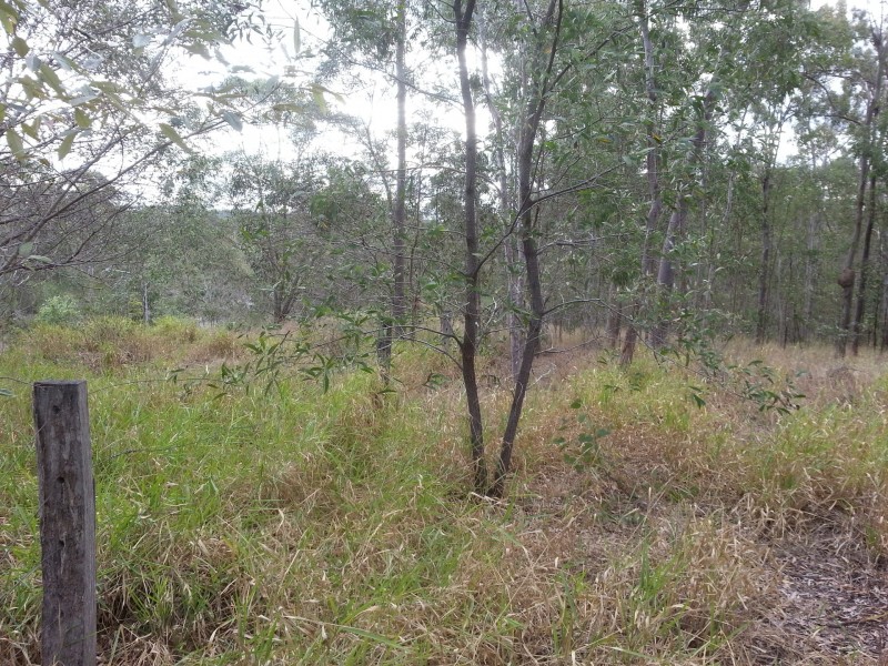 16 Fox Street, Redbank QLD 4301