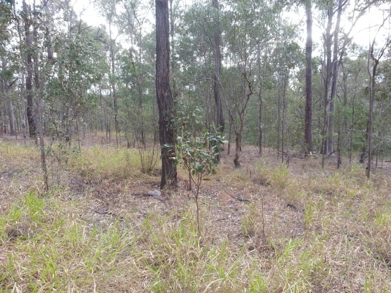 16 Fox Street, Redbank QLD 4301