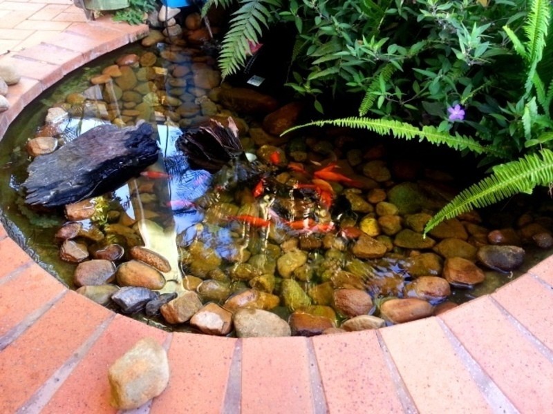 7 Martinelli Avenue, Banora Point NSW 2486